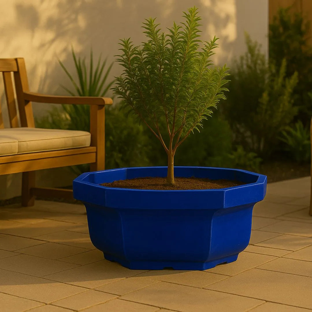 Vaso Bacia Oitavado Siena em Polietileno
