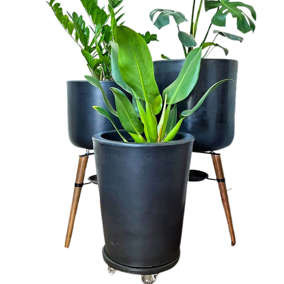 Kit Com 3 Vasos de Luxo Para Planta Decoração Apartamento