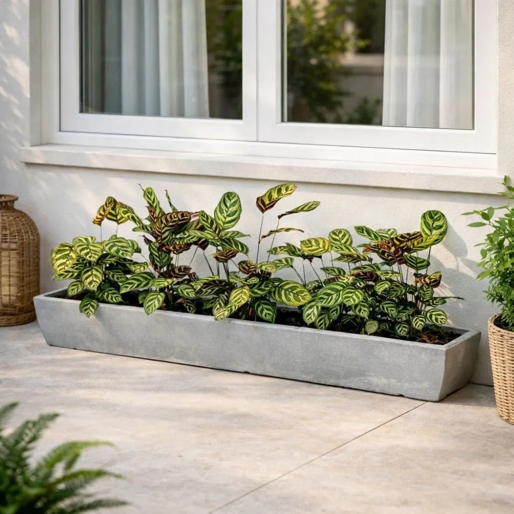 Jardineira Viena Fina em Polietileno