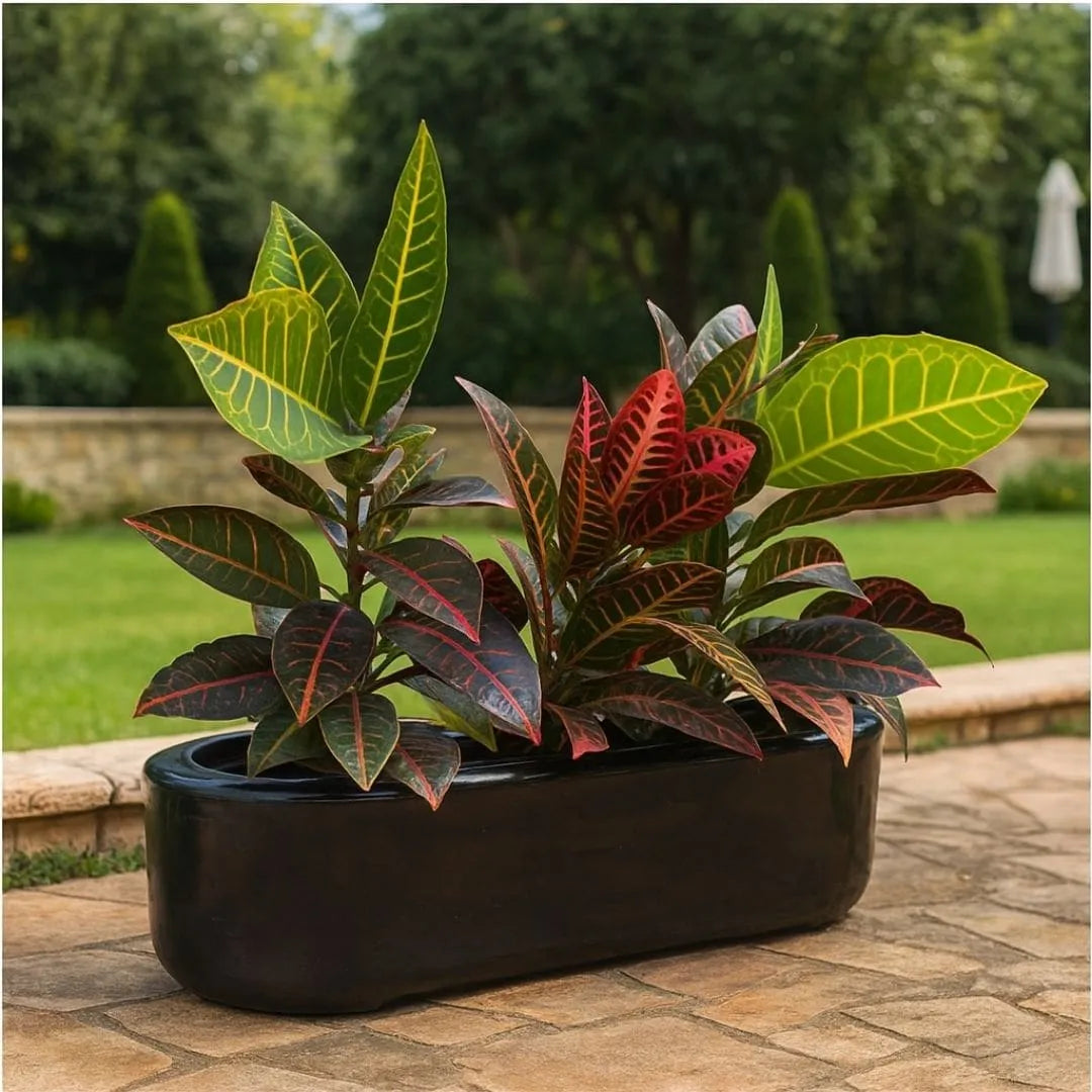 Jardineira Doha em Polietileno 50x17cm