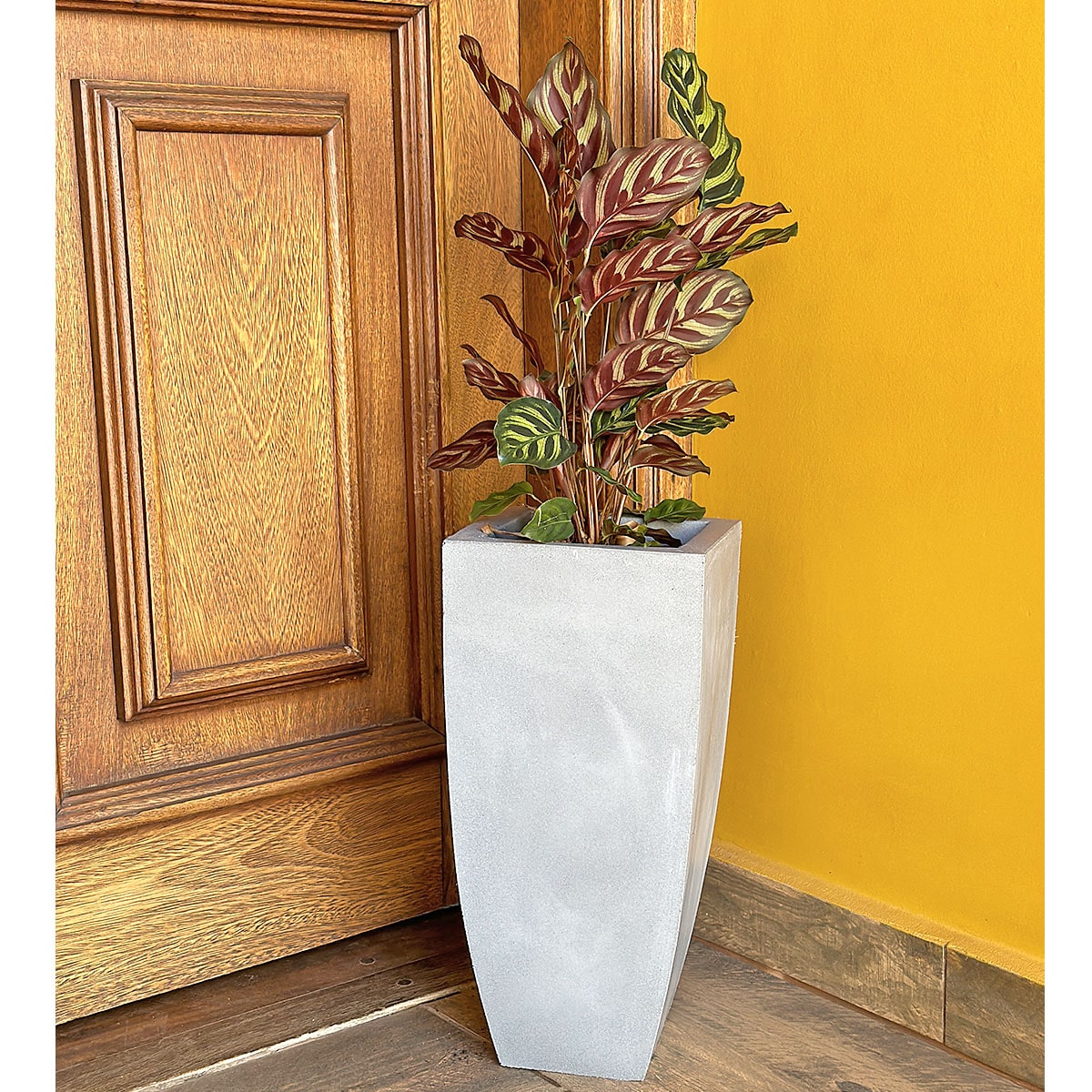 Vaso Fino para Plantas E Decoração de Ambientes Internos