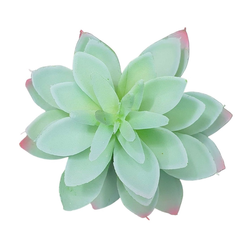 Suculentas Artificiais Decorativas