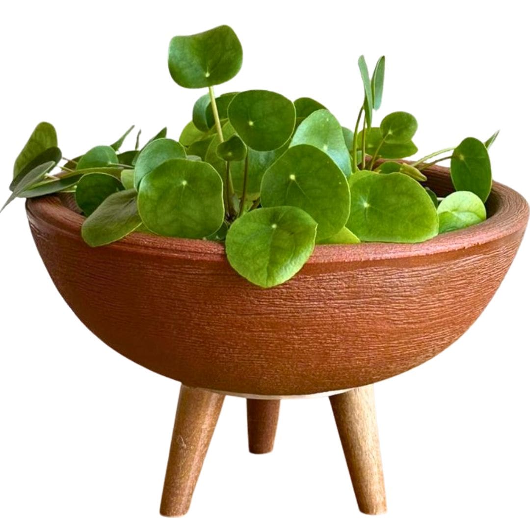 Kit 3 Vasos Decorativos para Pequenos Espaços