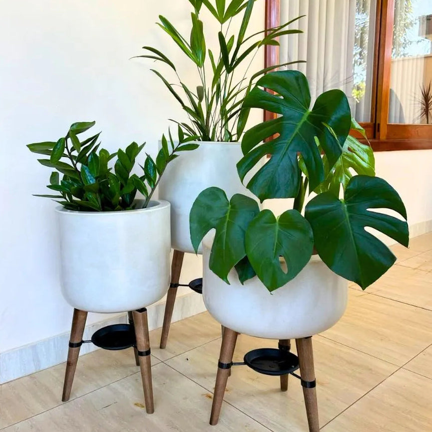 Kit 3 Vasos Linha Doha com Tripé de Madeira