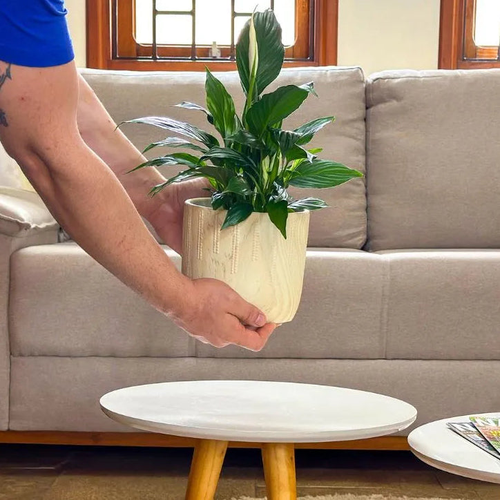 Vaso Cachepot Linha Genebra com Suporte de Madeira Baixo