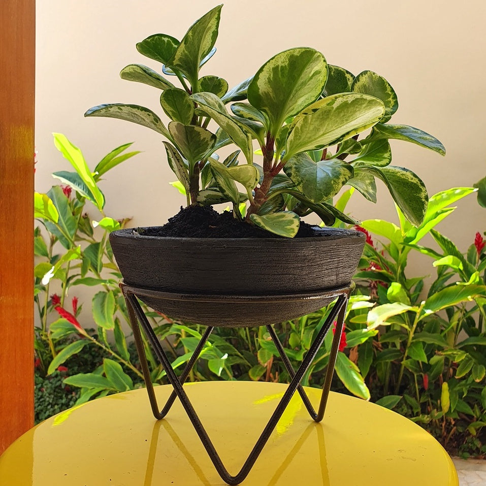 Suporte Tripé Redondo de Ferro 20cm