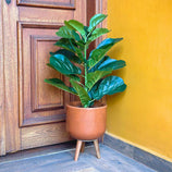 Planta Artificial Ficus Lyrata 80cm