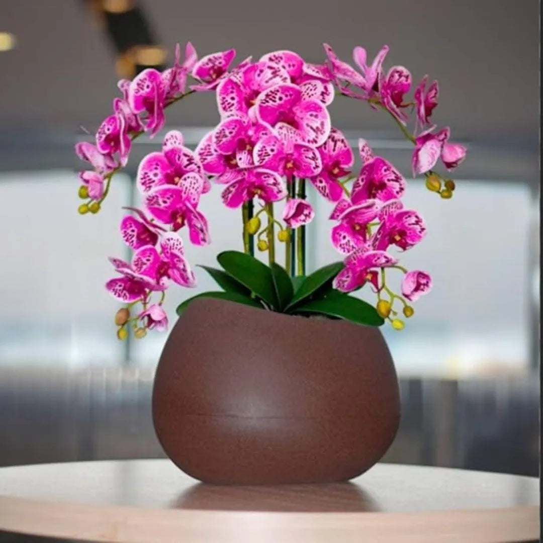 Kit 2 Vasos Oval Texturizado Nutriplan