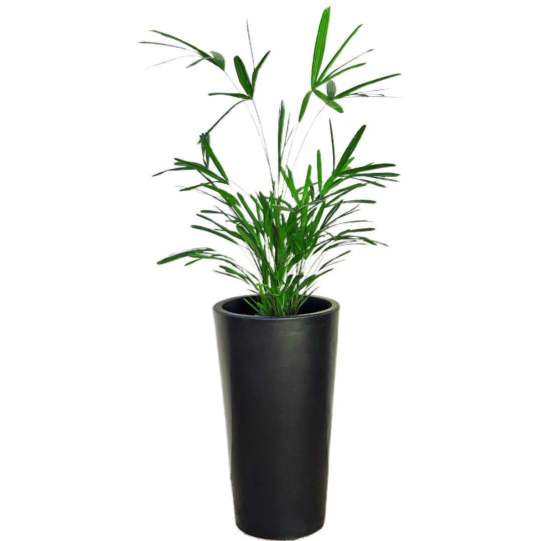 Kit 3 Vasos Damasco Brilhantes