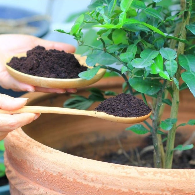 Kit Completo para Horta Caseira - Mesa Horta com 2 Vasos