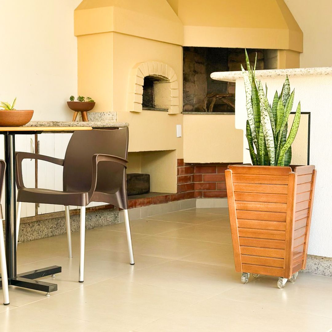 Muda Espada de São Jorge (Sansevieria trifasciata) - Pote 24