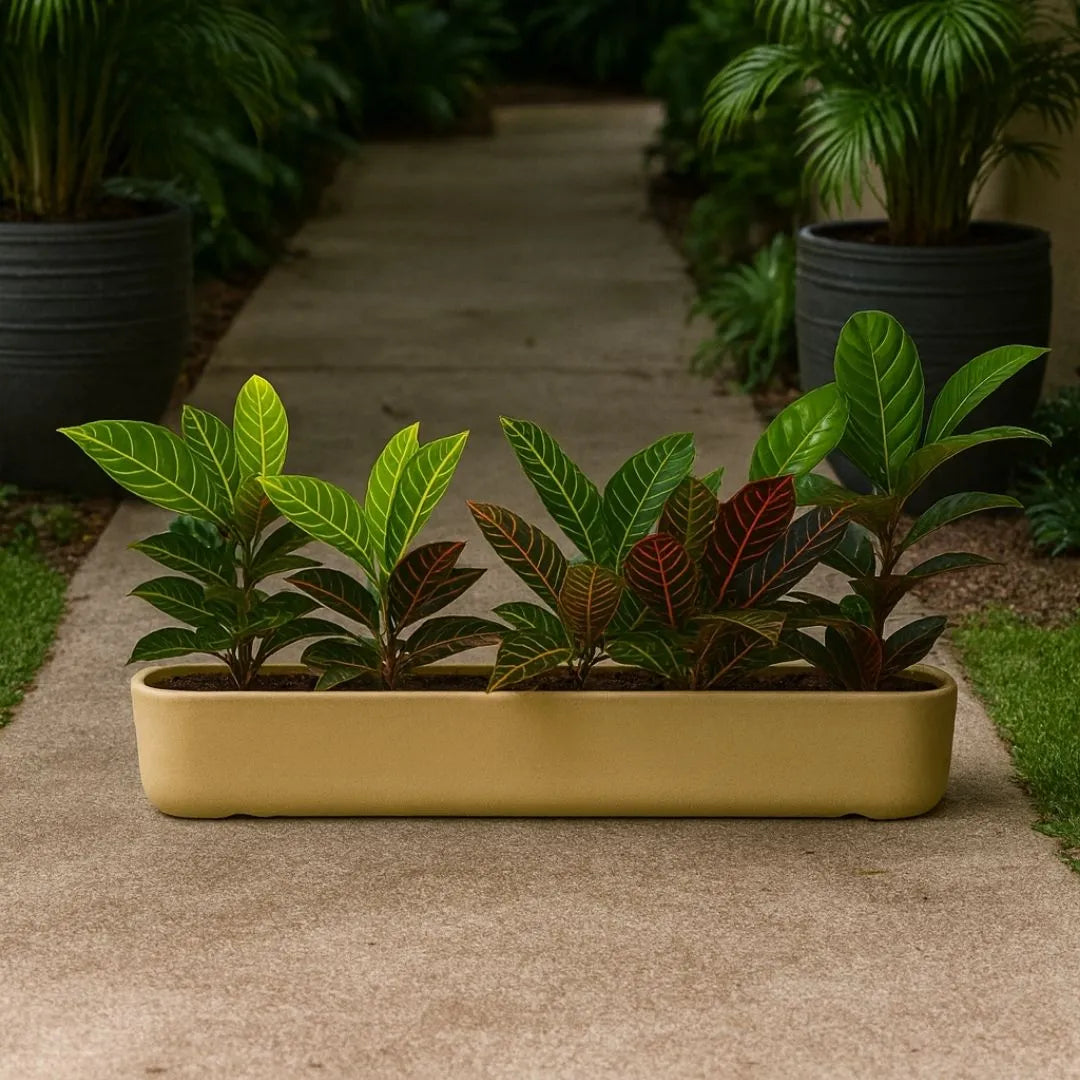 Jardineira Doha em Polietileno 80x17cm