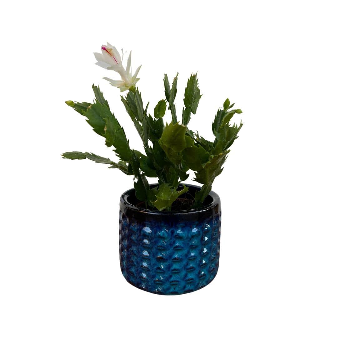 Vaso Cachepot em Cerâmica com Textura