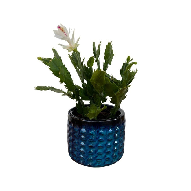 Vaso Cachepot em Cerâmica com Textura