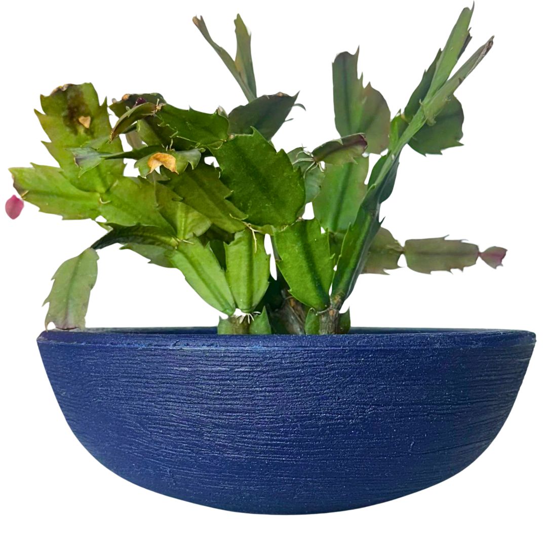 Kit 3 Vasos Pequenos para Espaços Compactos