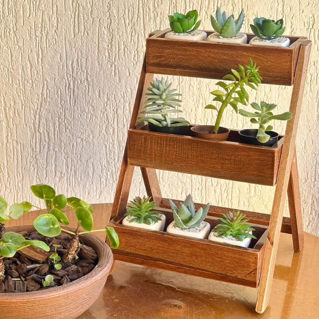 Suporte Vertical para Vasos de Suculenta