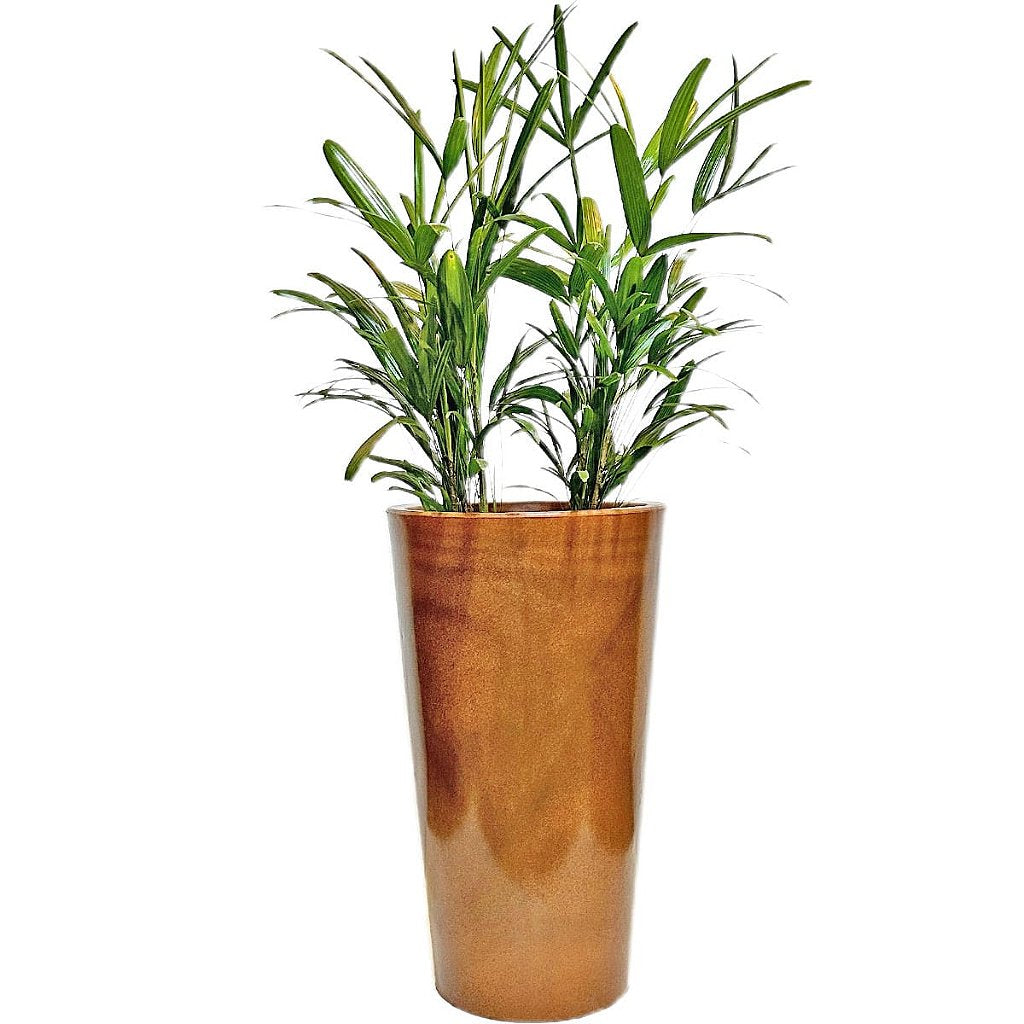 Vaso Brilhante Damasco em Polietileno