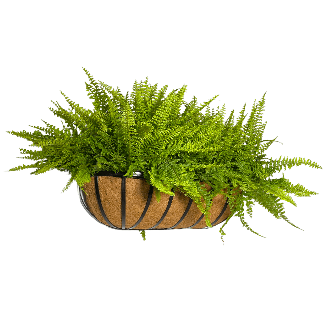 Jardineira de Fibra de Coco com Suporte