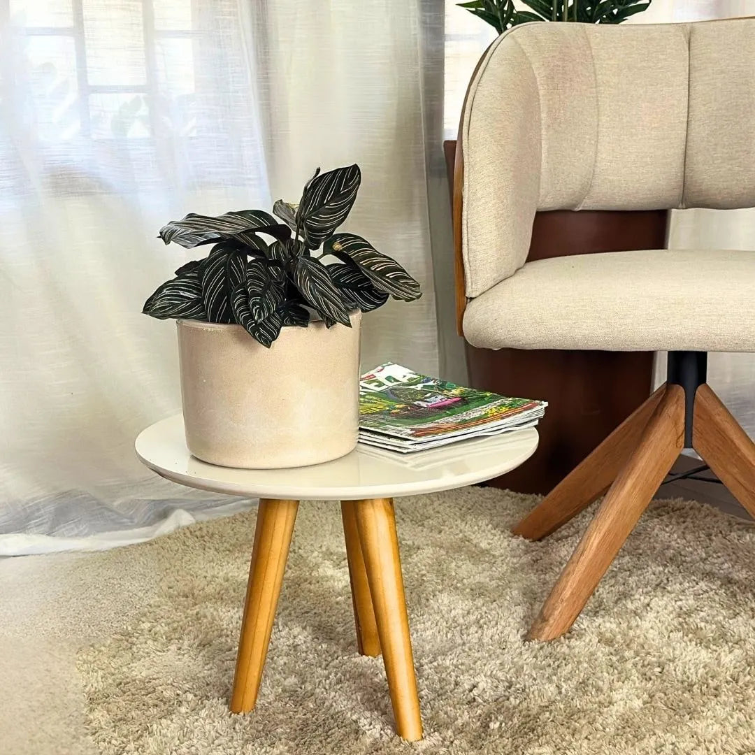 Vaso Decorativo Redondo Mini Doha 14x19cm