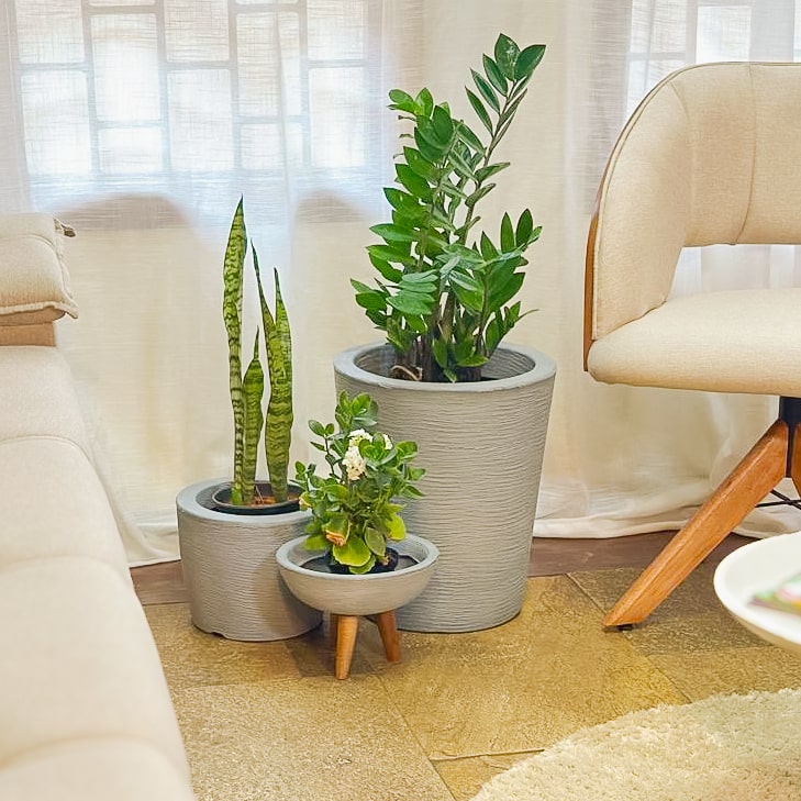 Kit 3 Vasos Decorativos para Pequenos Espaços