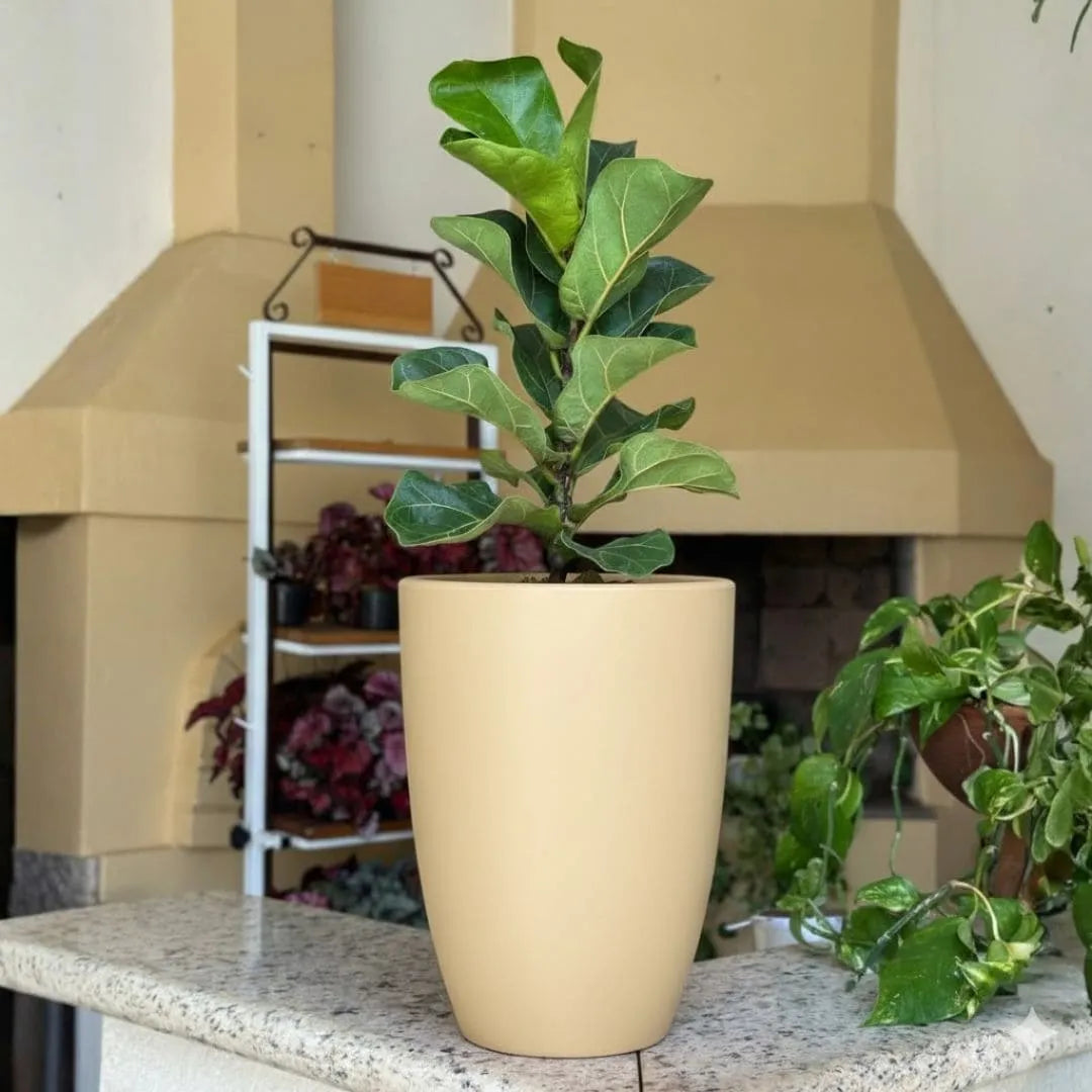 Kit 3 Vasos Polietileno Cone + Bacia