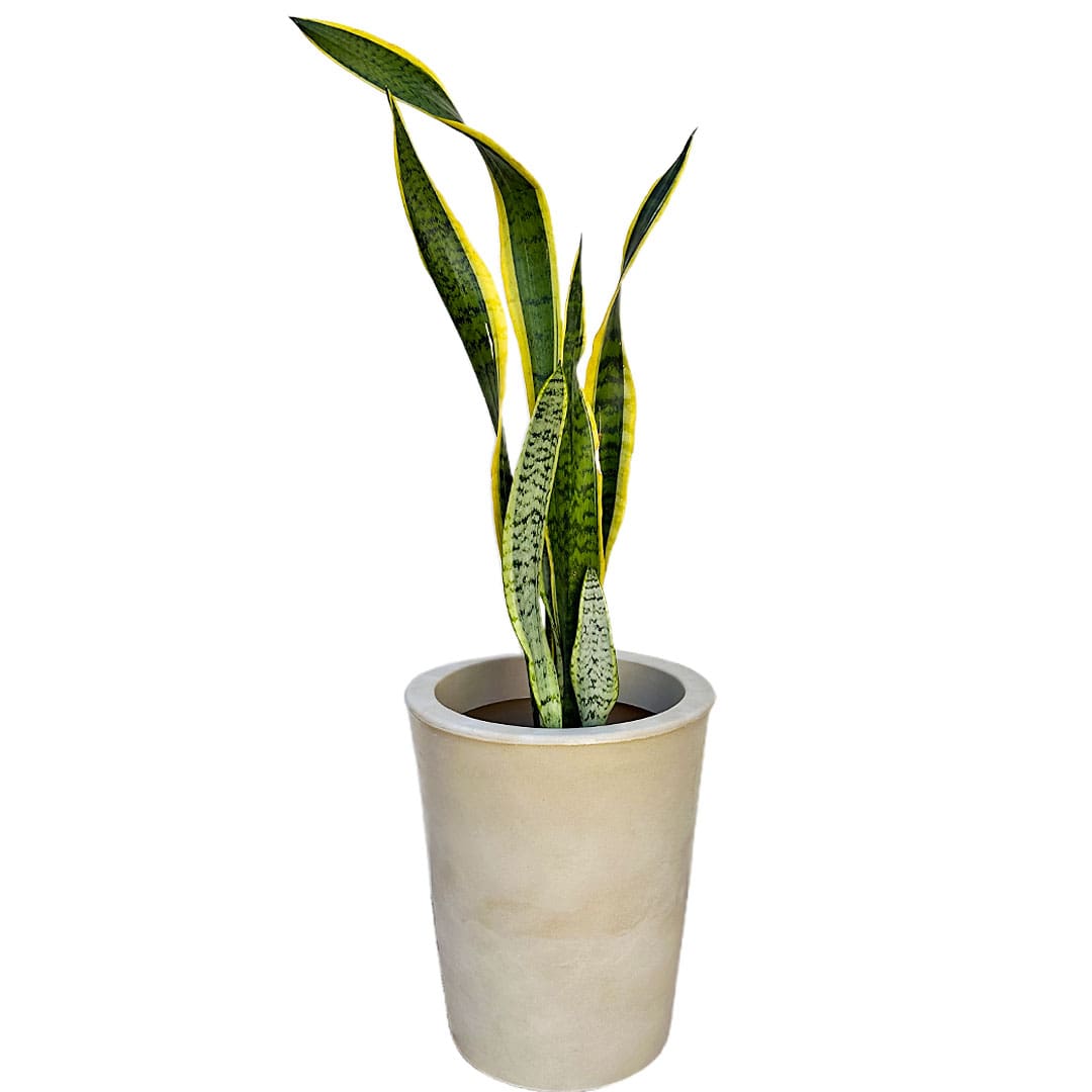 Kit 3 Vasos Damasco Brilhantes