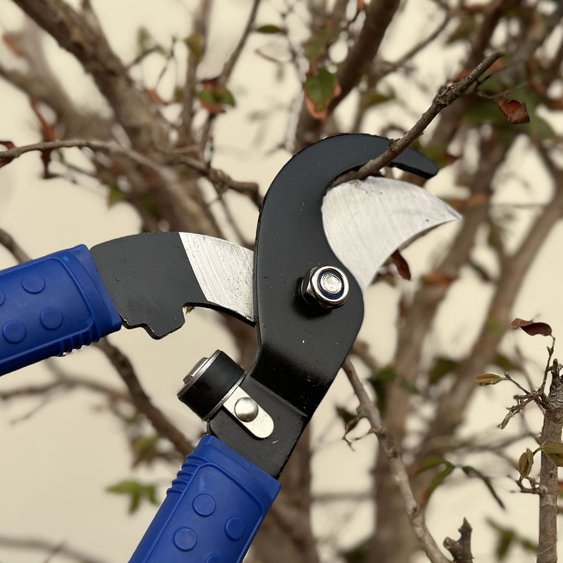 Tesoura de Poda Profissional para Galhos Grossos