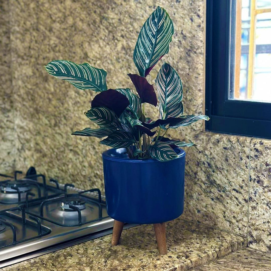 Mini Vaso Linha Doha 22cm com Tripé