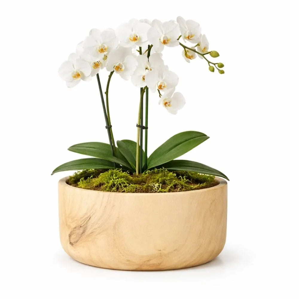 Vaso Bacia Linha Genebra em Cerâmica