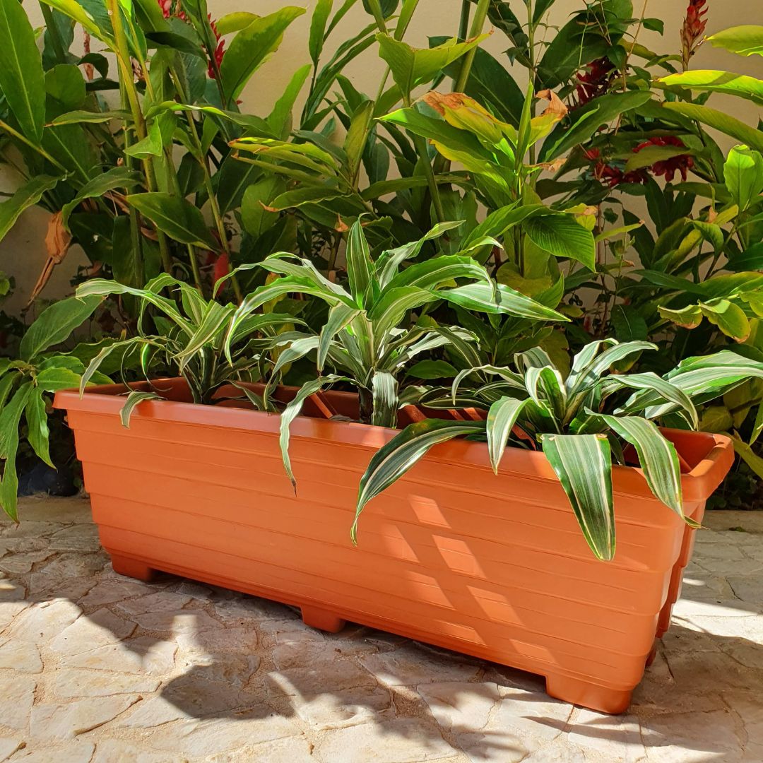 Jardineira Floreira Goyama em Plástico 60cm