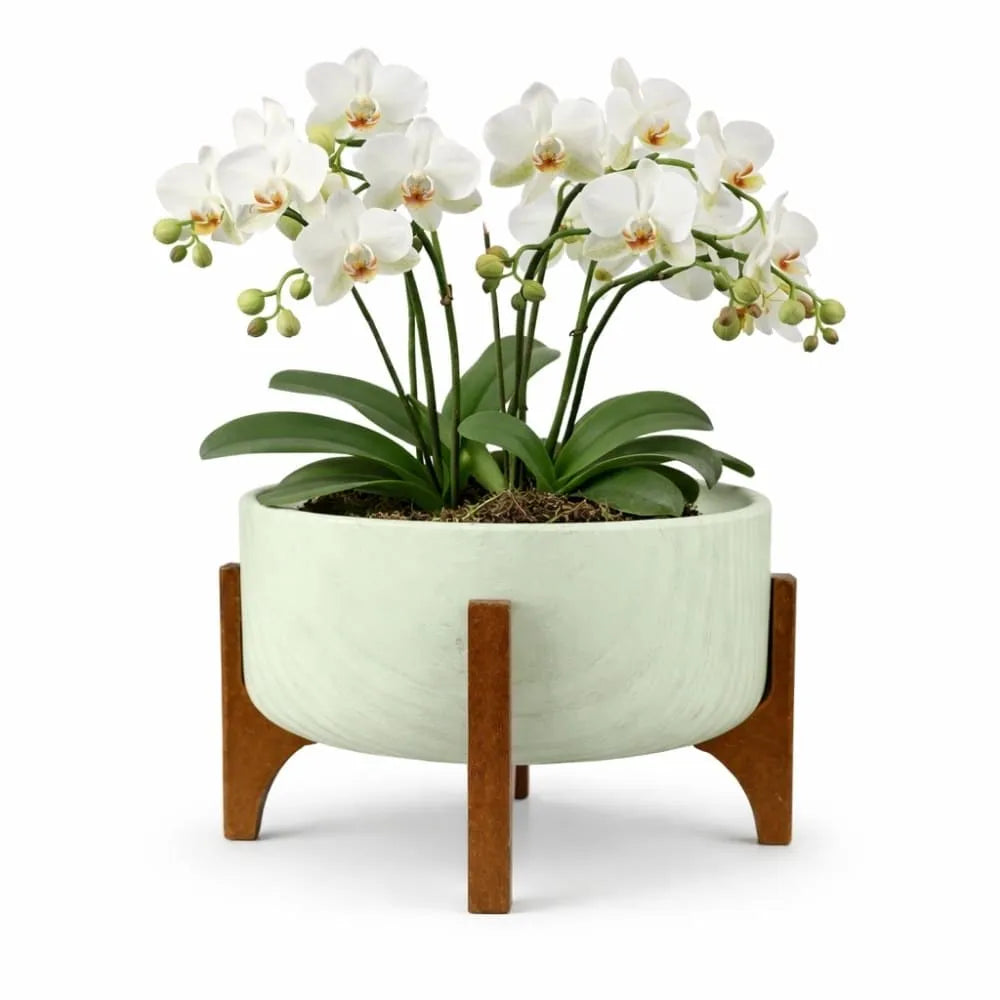 Vaso Bacia Linha Genebra com Suporte de Madeira