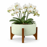 Vaso Bacia Linha Genebra com Suporte de Madeira