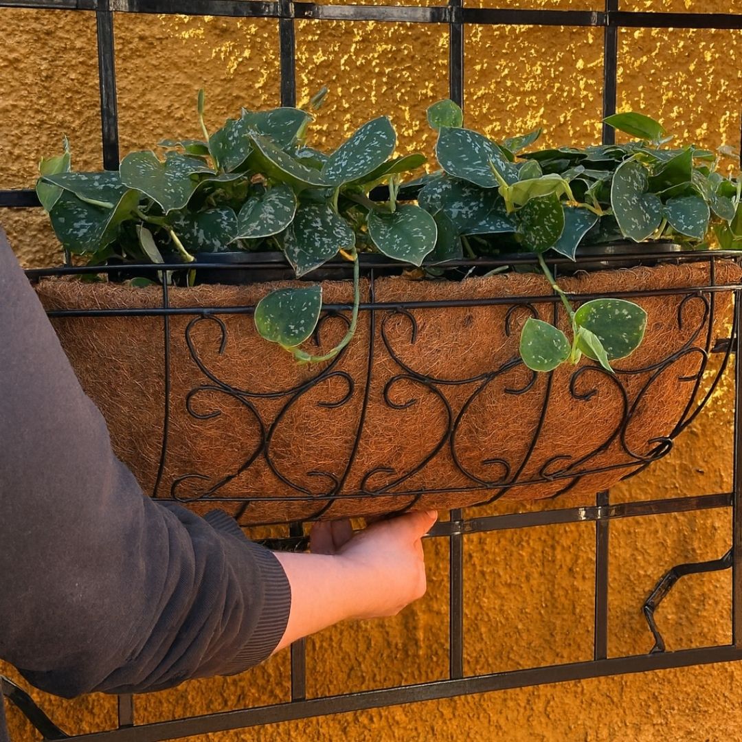 Jardineira de Fibra de Coco com Suporte Ornamentado