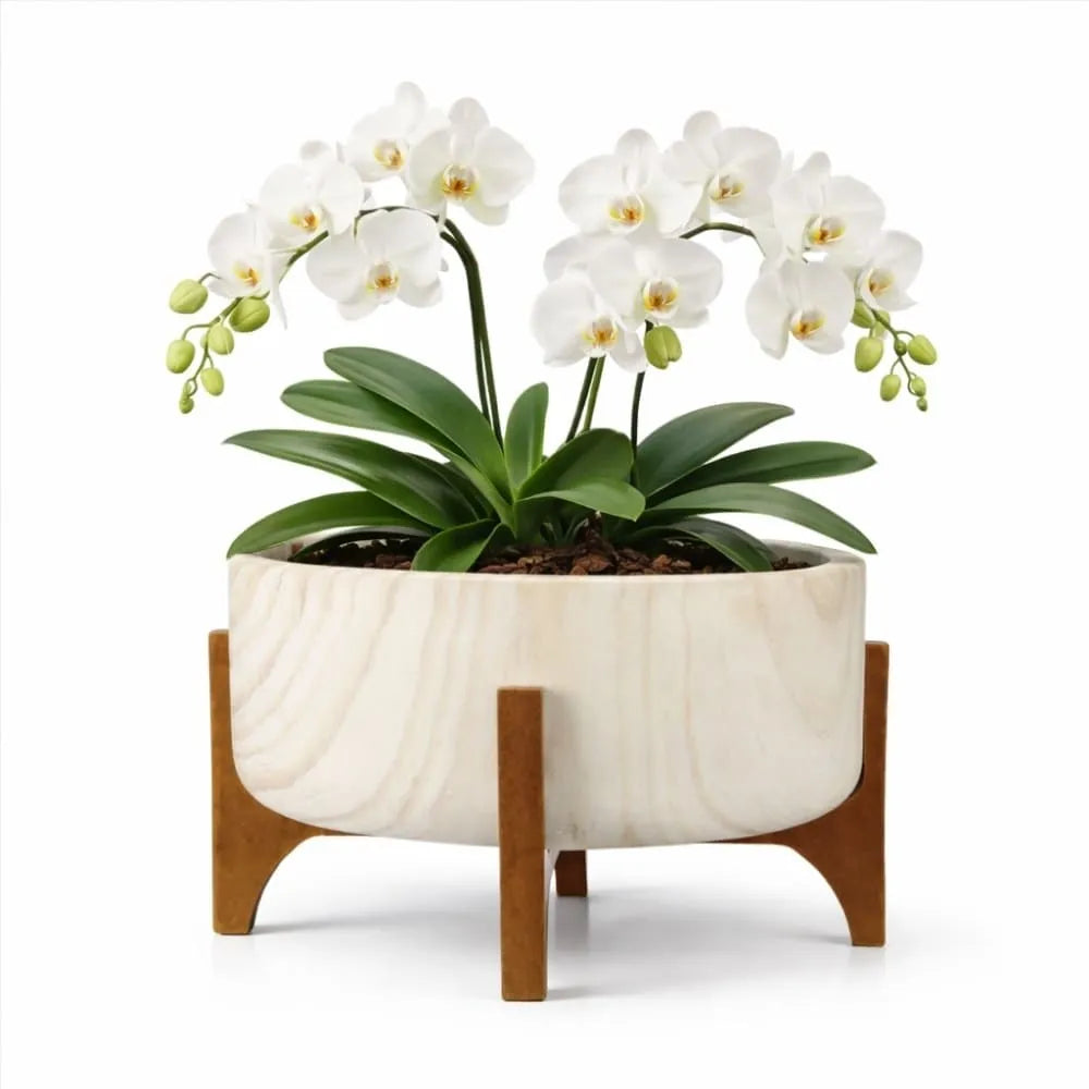Vaso Bacia Linha Genebra com Suporte de Madeira