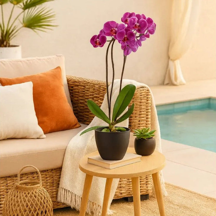 Vaso Cachepot Redondo em Polipropileno 15x12,5cm