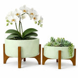 Kit 2 Vasos Bacia Linha Genebra com Suporte de Madeira