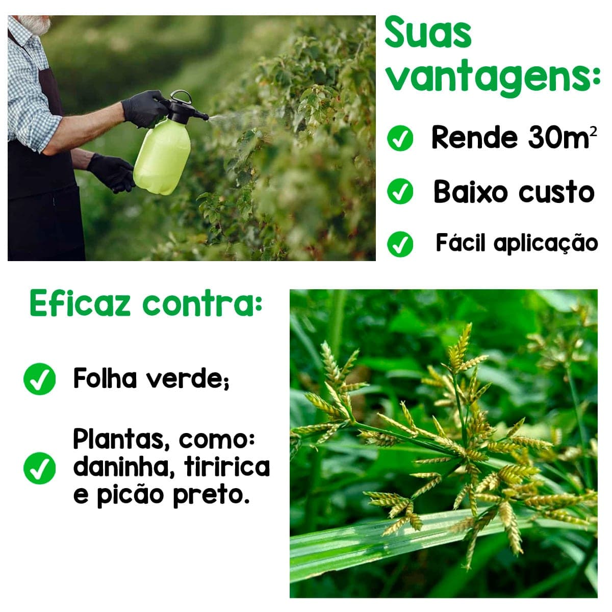 Glifomato Elimina Mato Insetimax 100ml