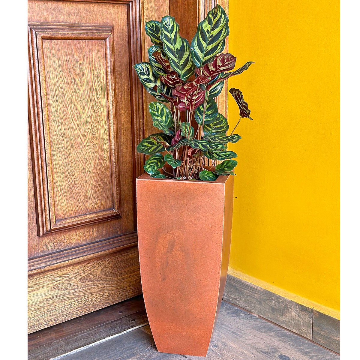 Vaso Fino para Plantas E Decoração de Ambientes Internos