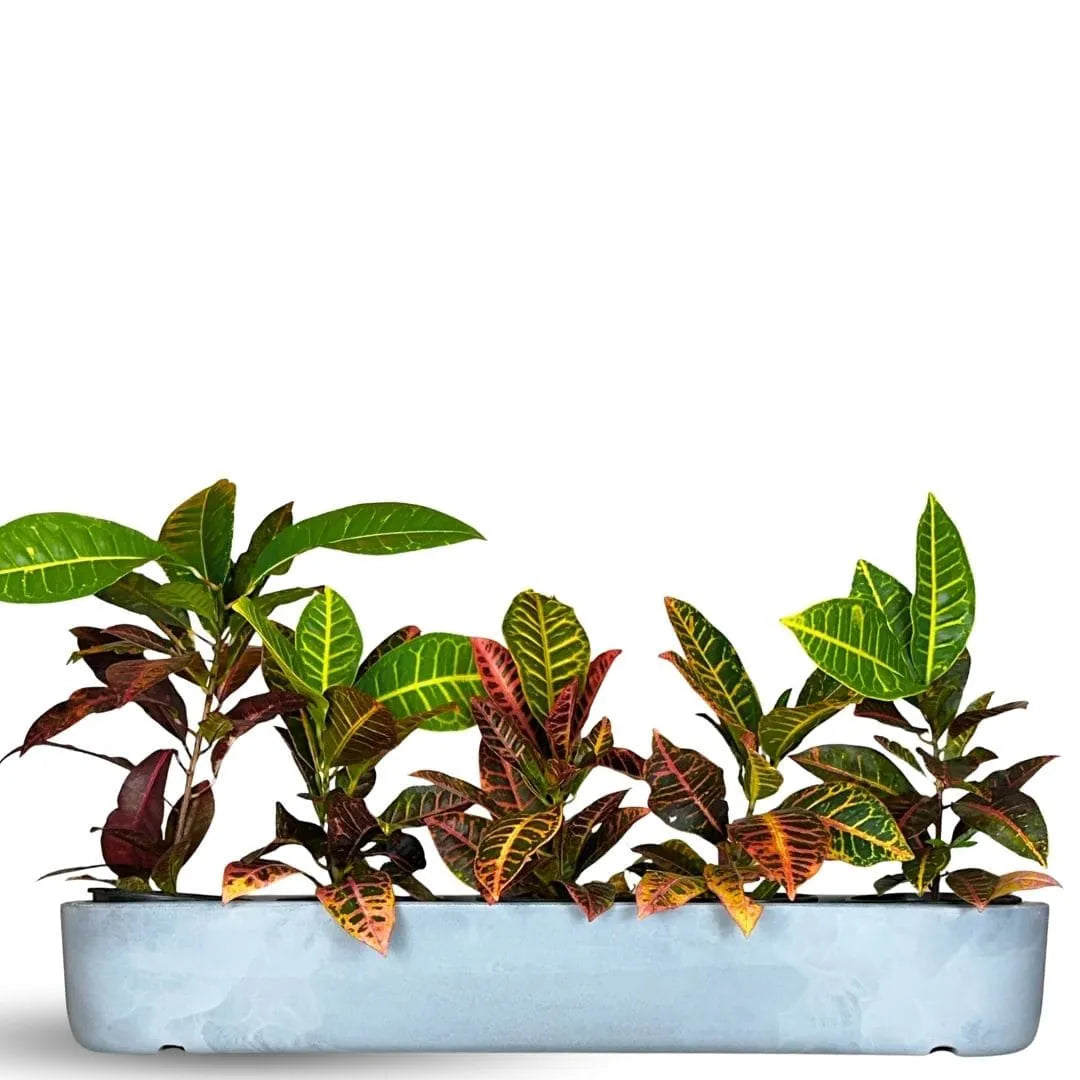 Jardineira Doha em Polietileno 80x17cm