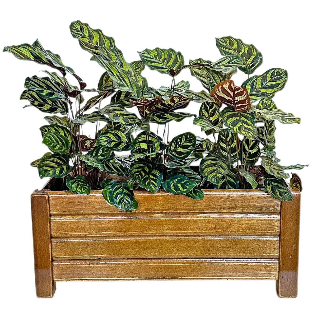 Jardineira de Madeira Ripada 40x16cm