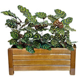 Jardineira de Madeira Ripada 40x16cm