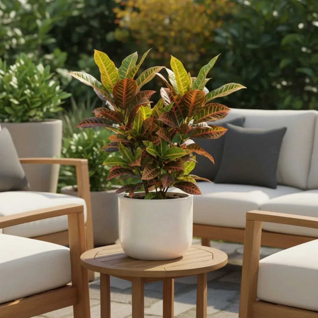 Vaso Doha Médio em Polietileno