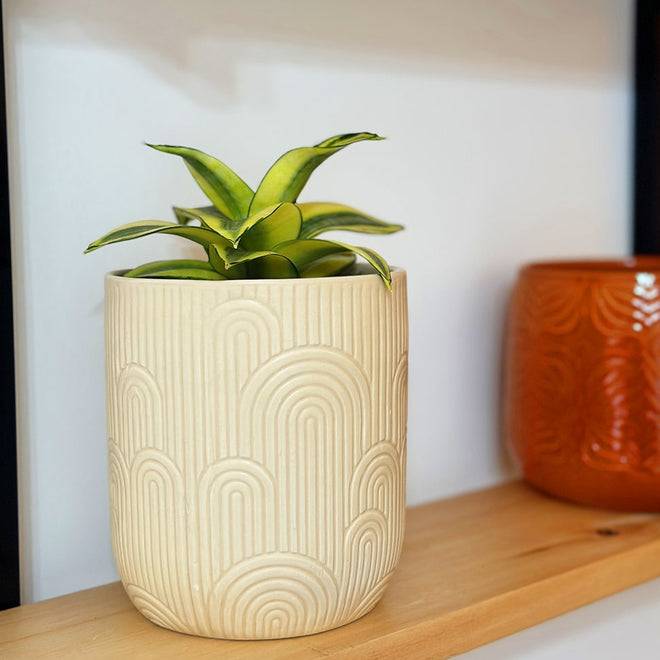 Vaso de Cerâmica Texturizado 13x15cm