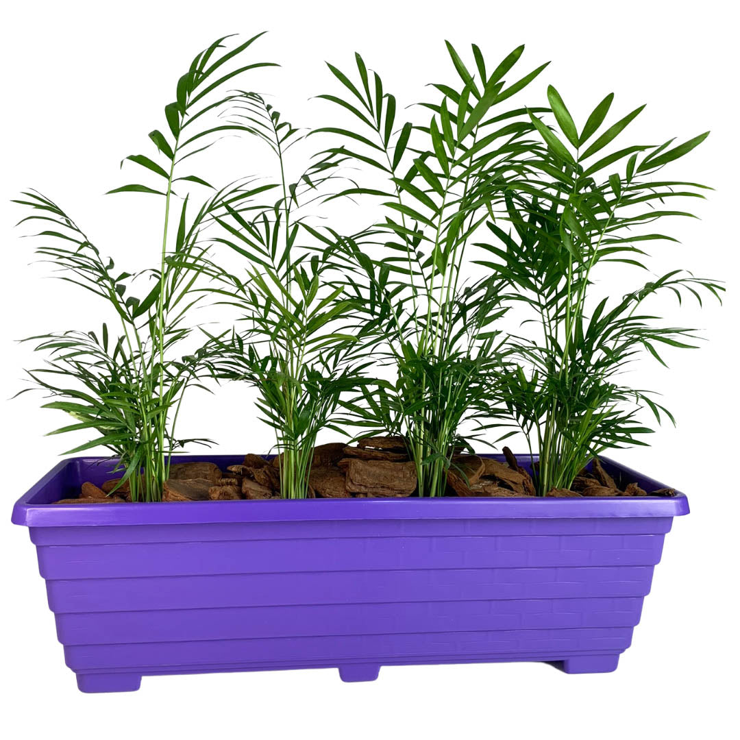 Jardineira Floreira de Plástico 50cm