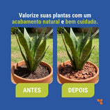 Casca de Pinus Polida Para Jardim e Paisagismo Avena 5L