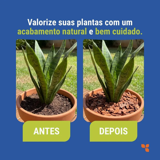 Casca de Pinus Polida Para Jardim e Paisagismo Avena 5L