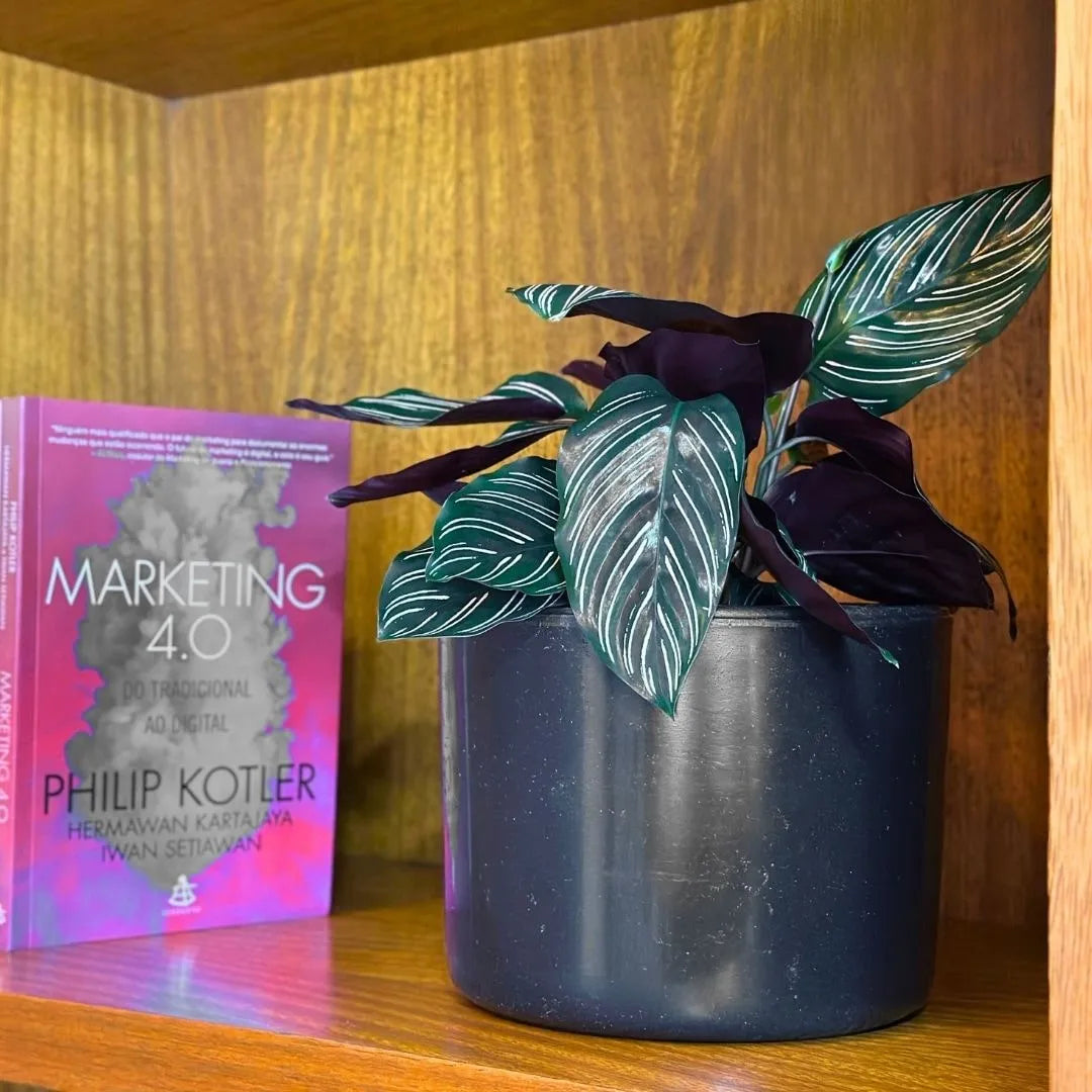 Vaso Decorativo Redondo Mini Doha 14x19cm