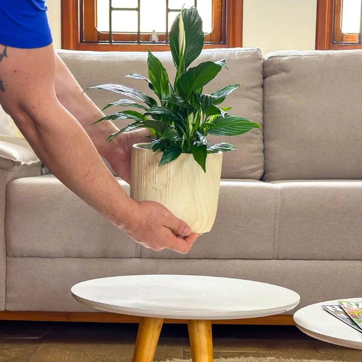 Kit 3 Vasos Genebra em Cerâmica com Tripé de Madeira