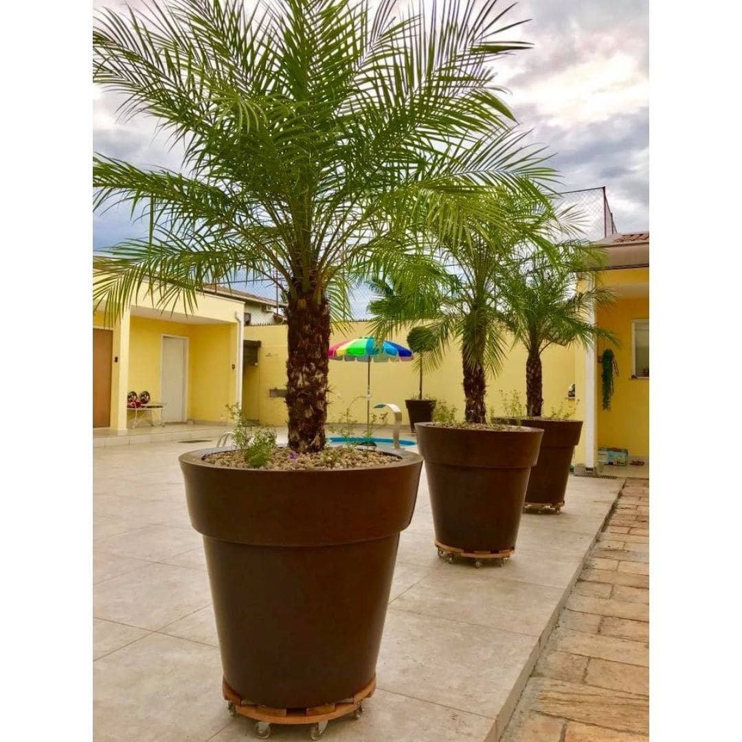 Vaso Atenas em Polietileno com borda - Tamanhos Grandes