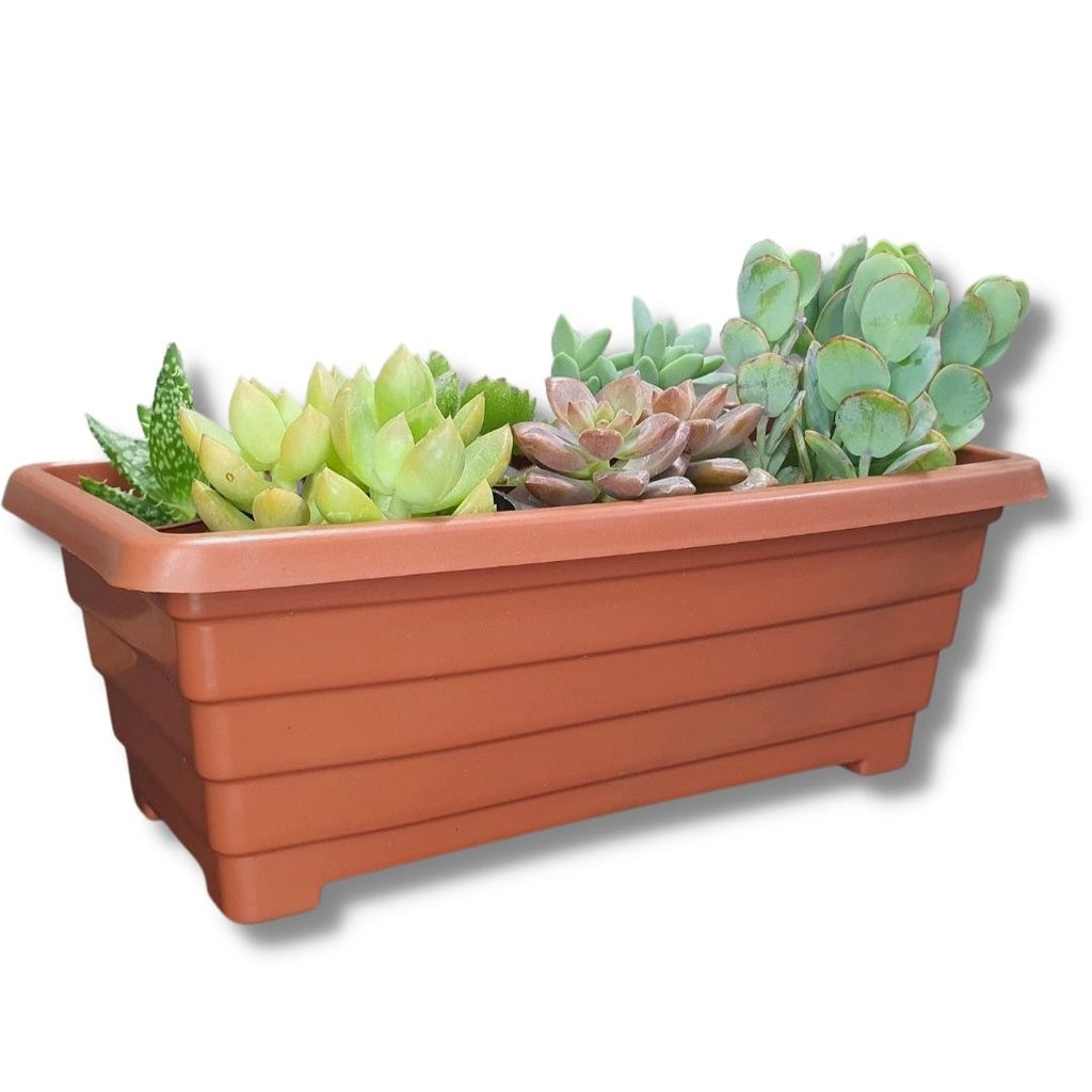 Mini Floreira Goyama em Plástico 20cm